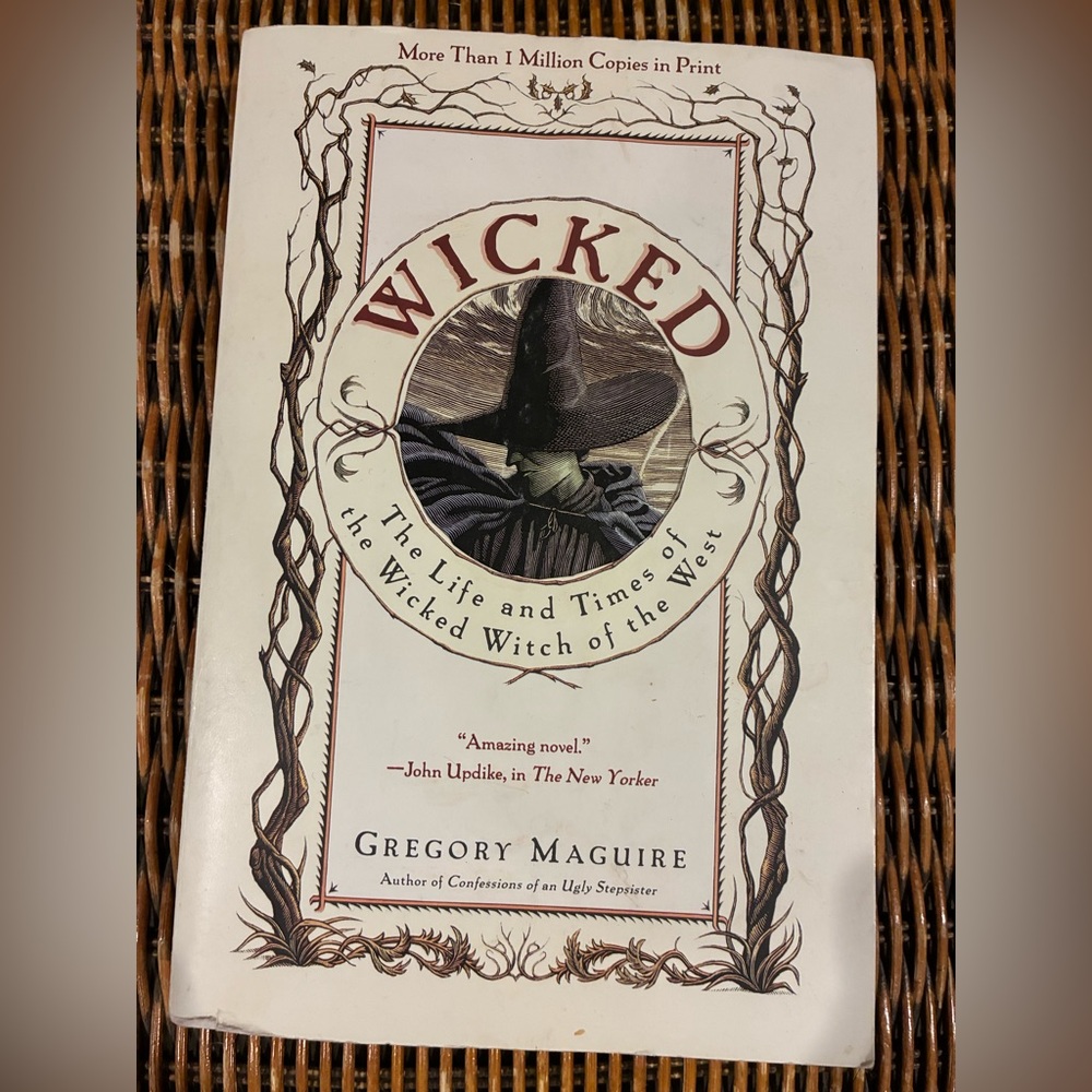 ⭐️3/$15⭐️Wicked: The Life and Times of the Wicked Witch of the West Book